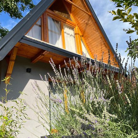 Petrovaradin Chalet Novi Sad Exterior foto
